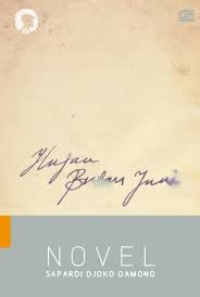 Image of Hujan bulan Juni